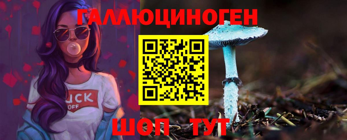 Галлюциногенные грибы Psilocybine cubensis Магадан