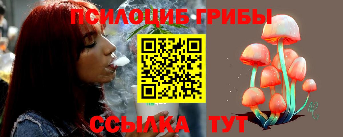 где найти   Вход с VPN  Магадан  Псилоцибиновые грибы Magic Shrooms 
